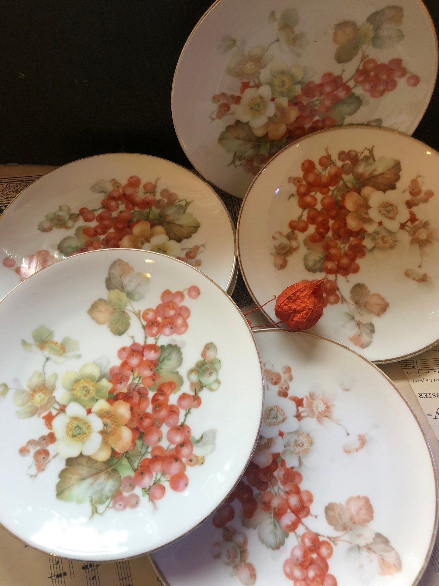 Vintage Sevres Bavaria Plates: Redcurrant Transfer Print, Set of 6