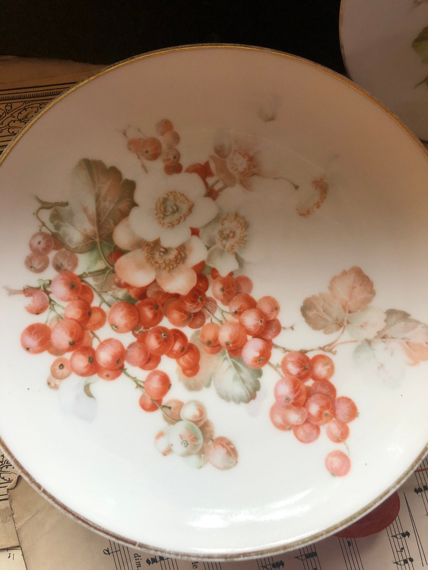 Vintage Sevres Bavaria Plates: Redcurrant Transfer Print, Set of 6