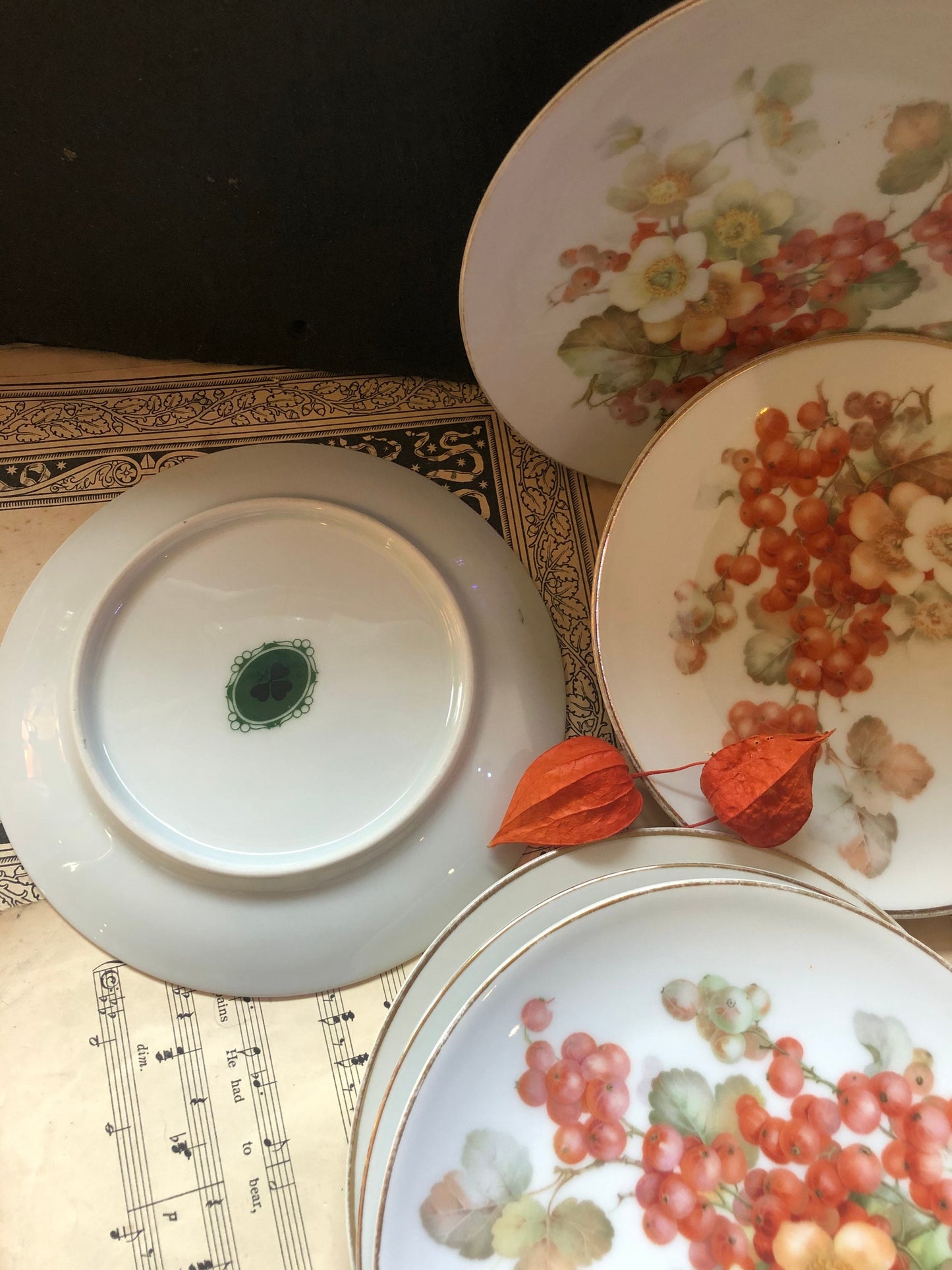 Vintage Sevres Bavaria Plates: Redcurrant Transfer Print, Set of 6