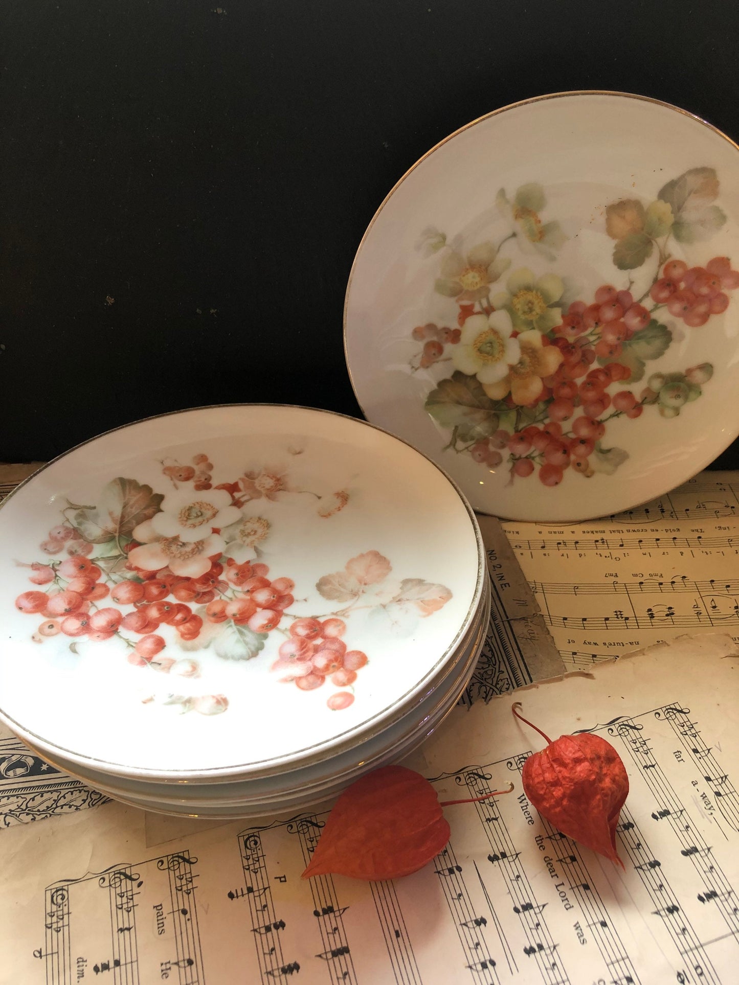Vintage Sevres Bavaria Plates: Redcurrant Transfer Print, Set of 6