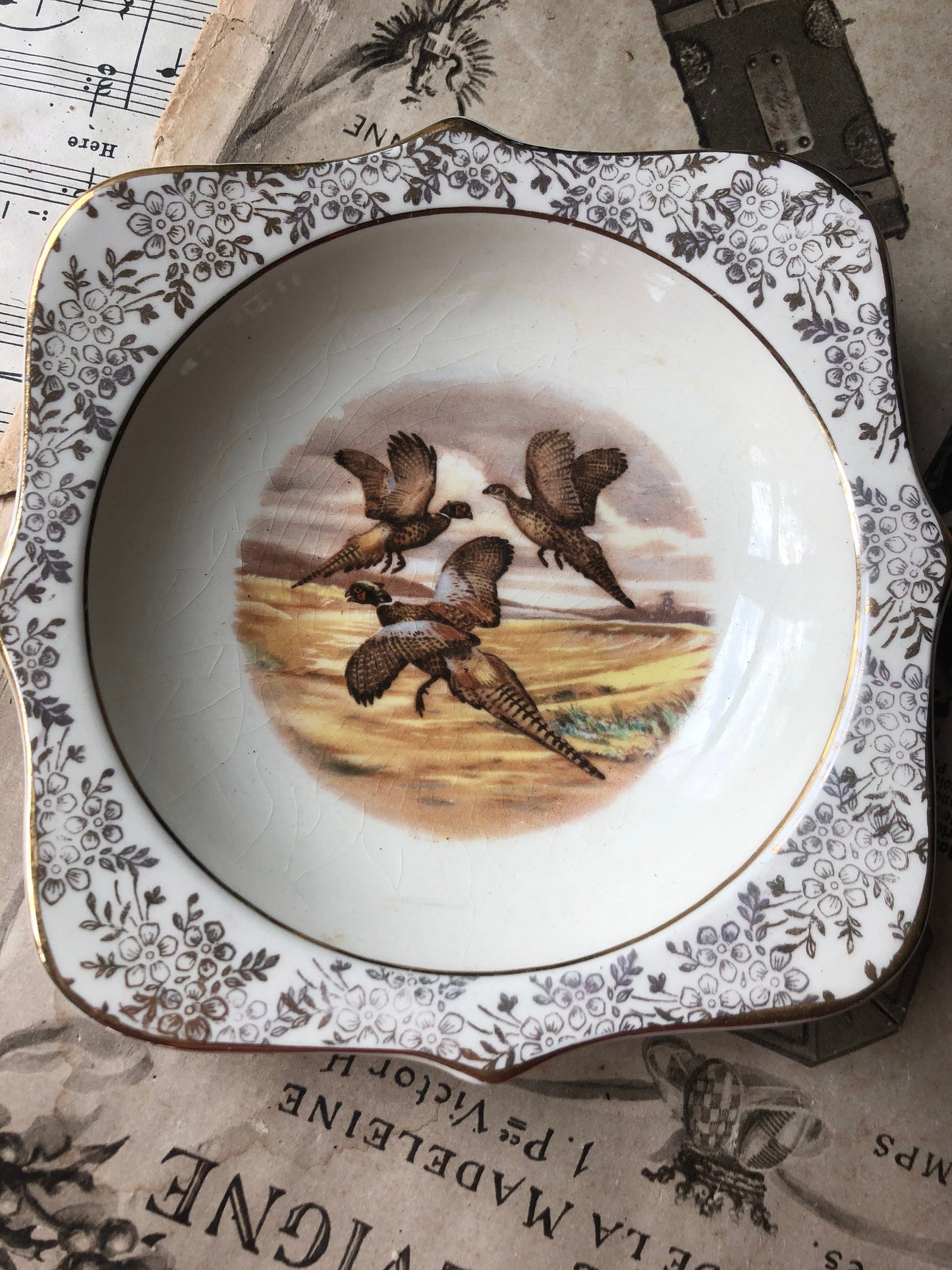 Square Vintage Game Bird Dish with Gold Chintz Edging / Made in England