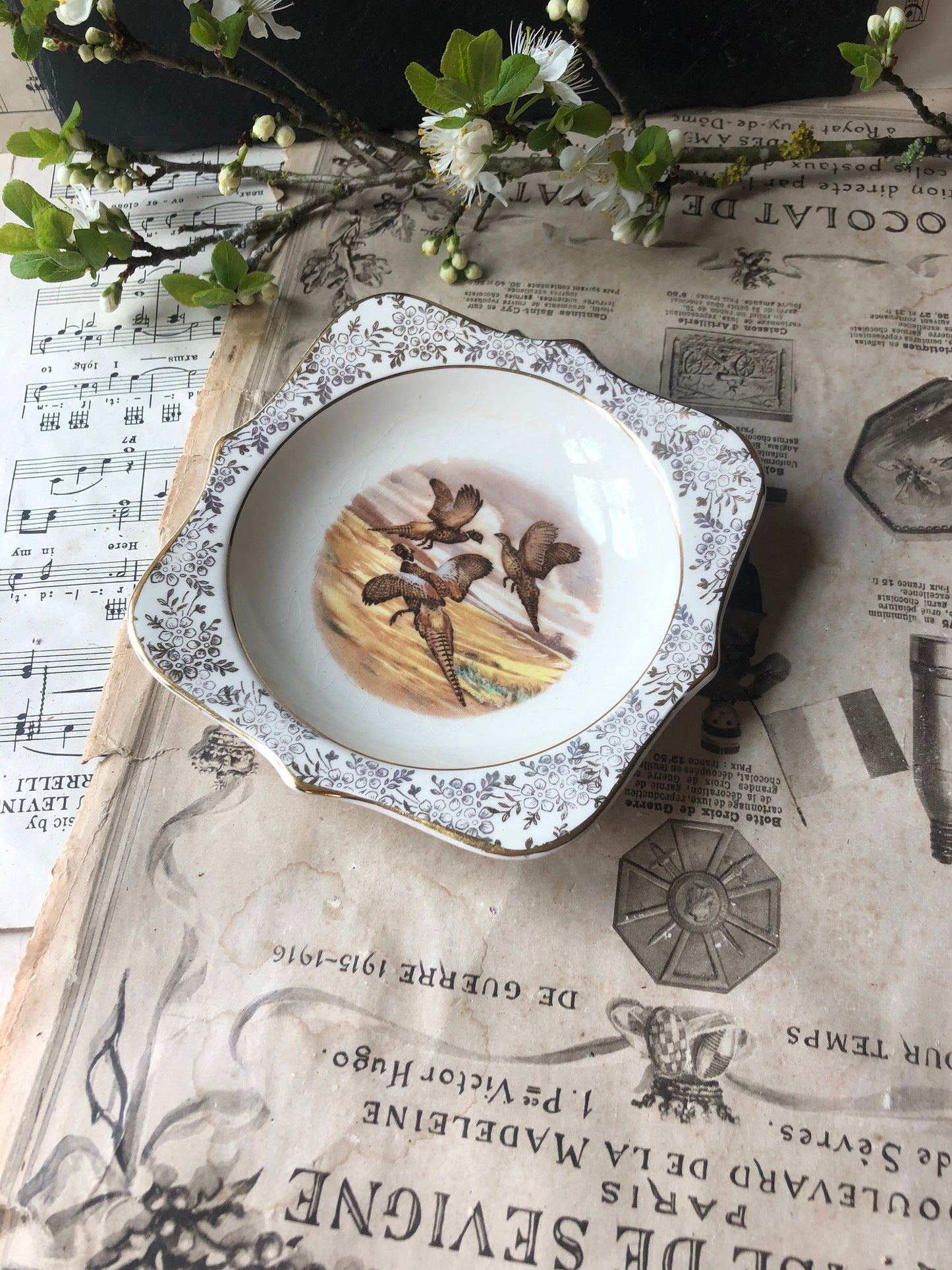 Square Vintage Game Bird Dish with Gold Chintz Edging / Made in England
