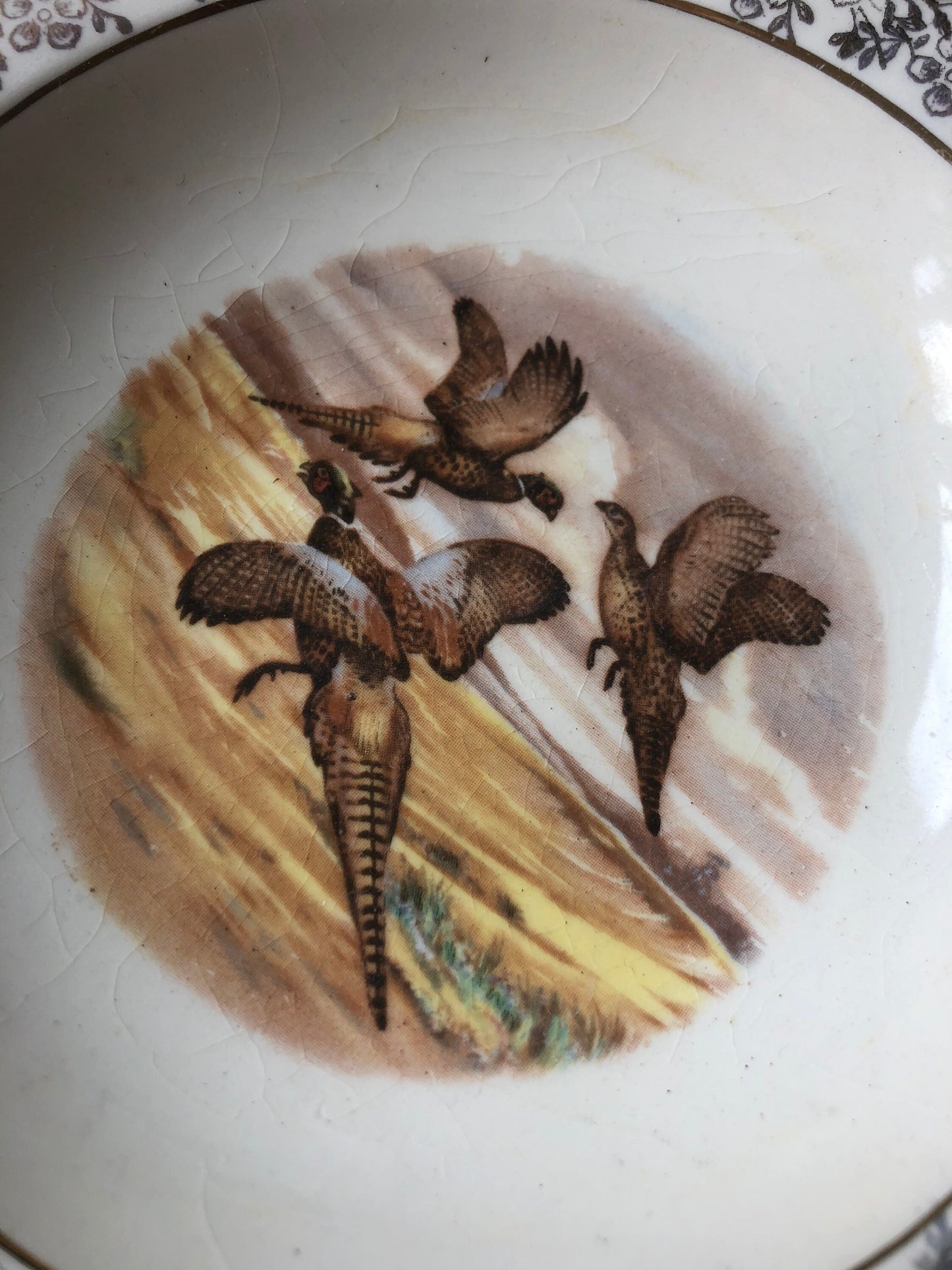 Square Vintage Game Bird Dish with Gold Chintz Edging / Made in England