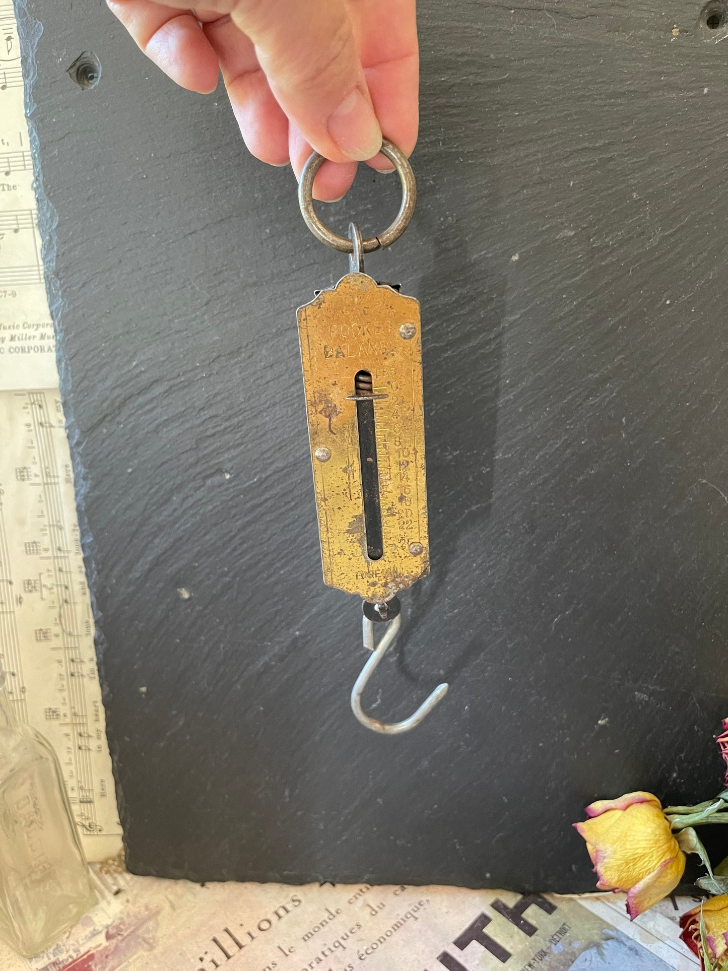 Vintage Pocket Balance