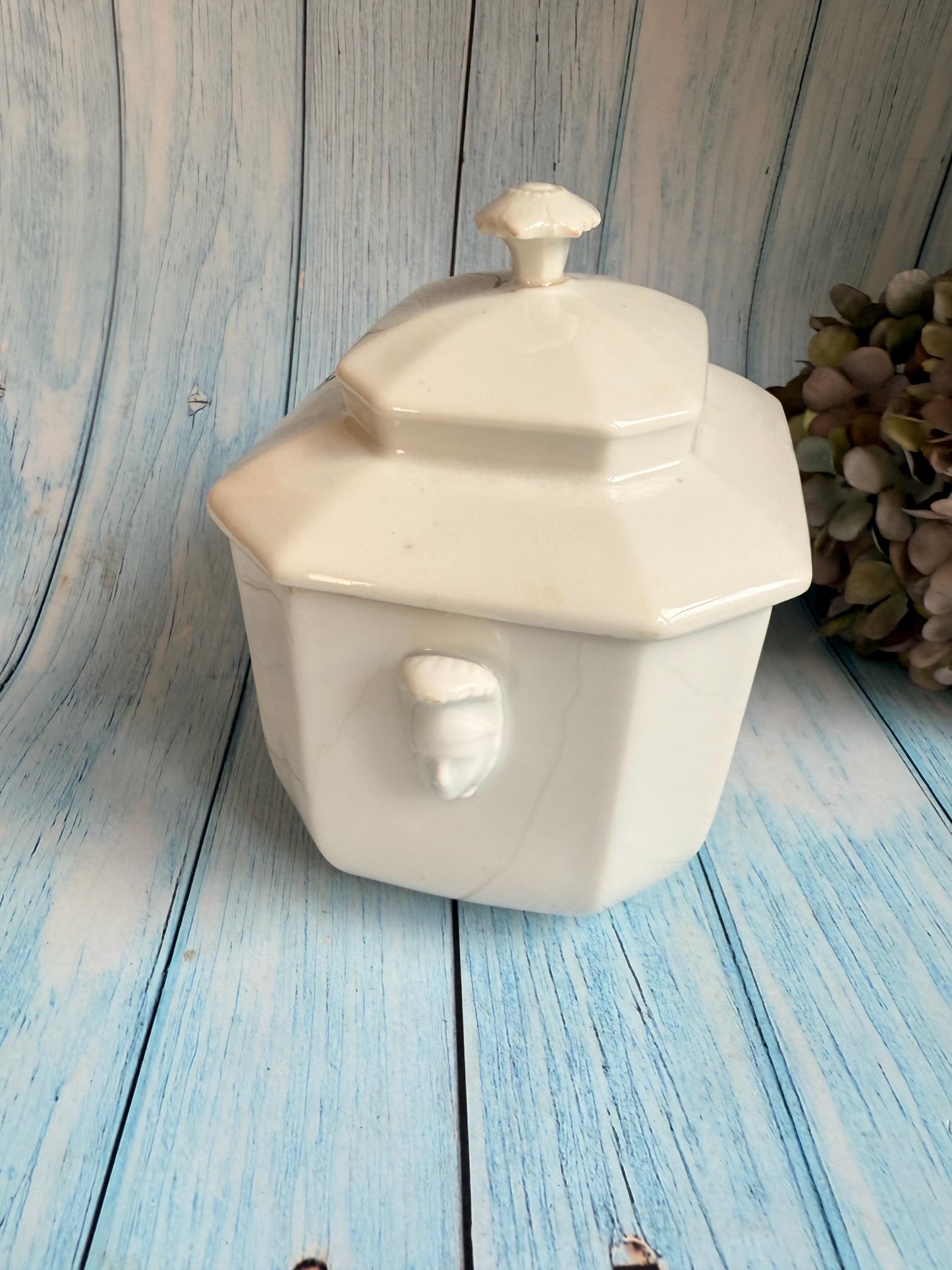 Antique French Cameo Heads Porcelain Sugar Pot