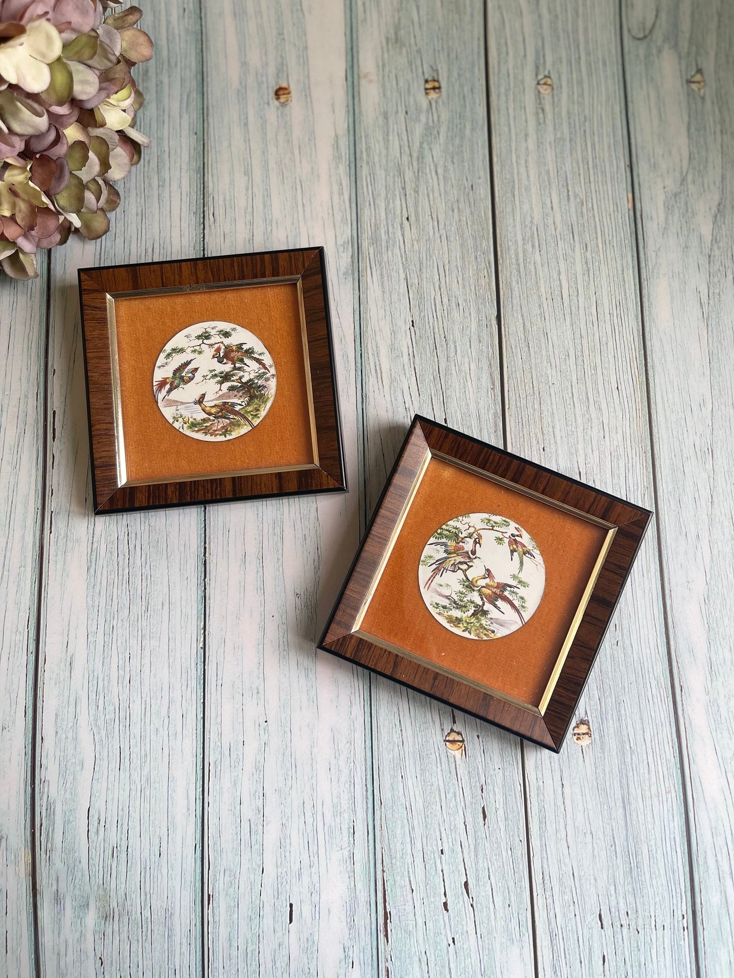 Pair of pretty vintage, enamel on copper plaques displaying exotic birds by Withers