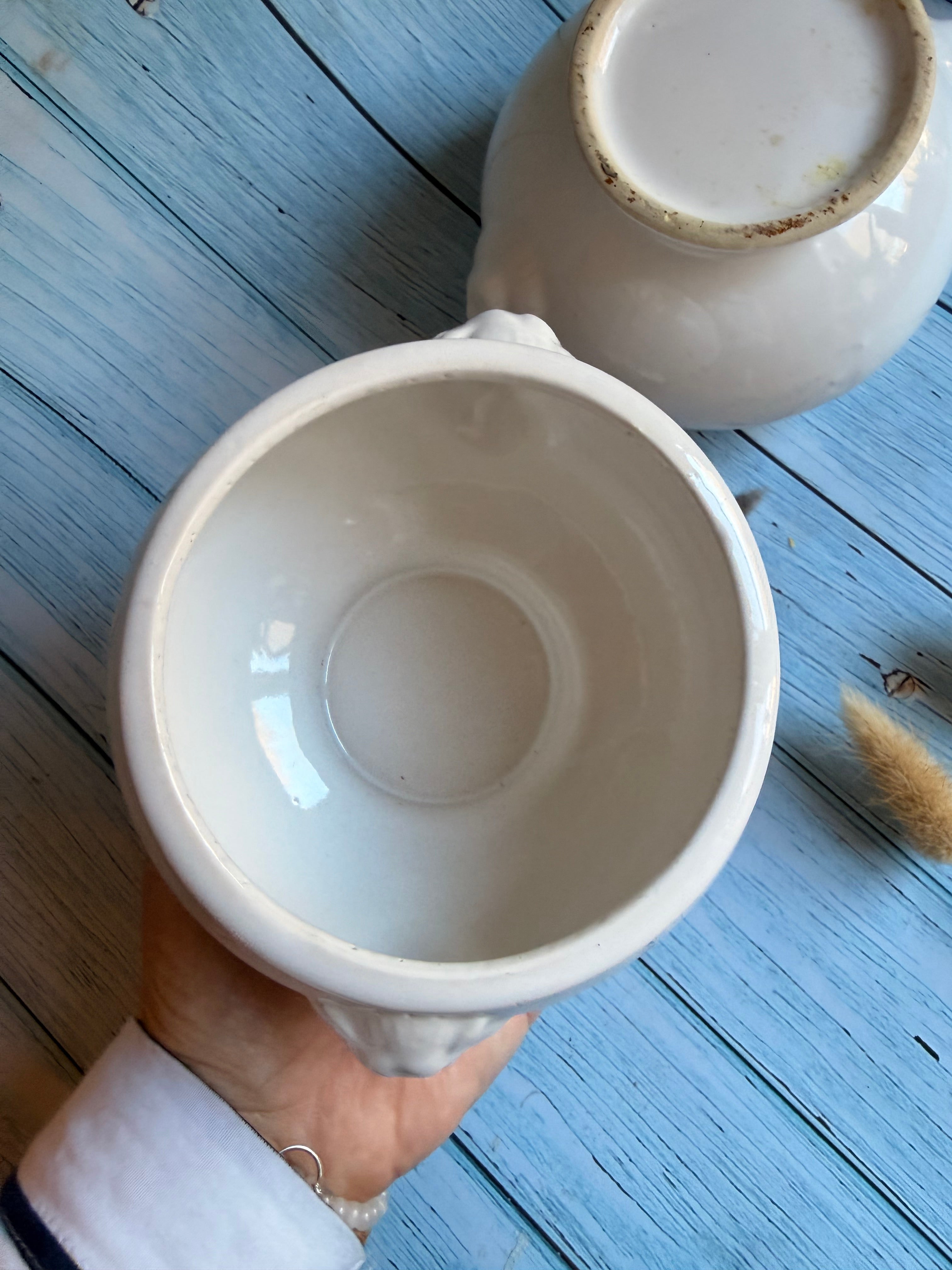 Pair of Vintage French Lion Head Soup Bowls