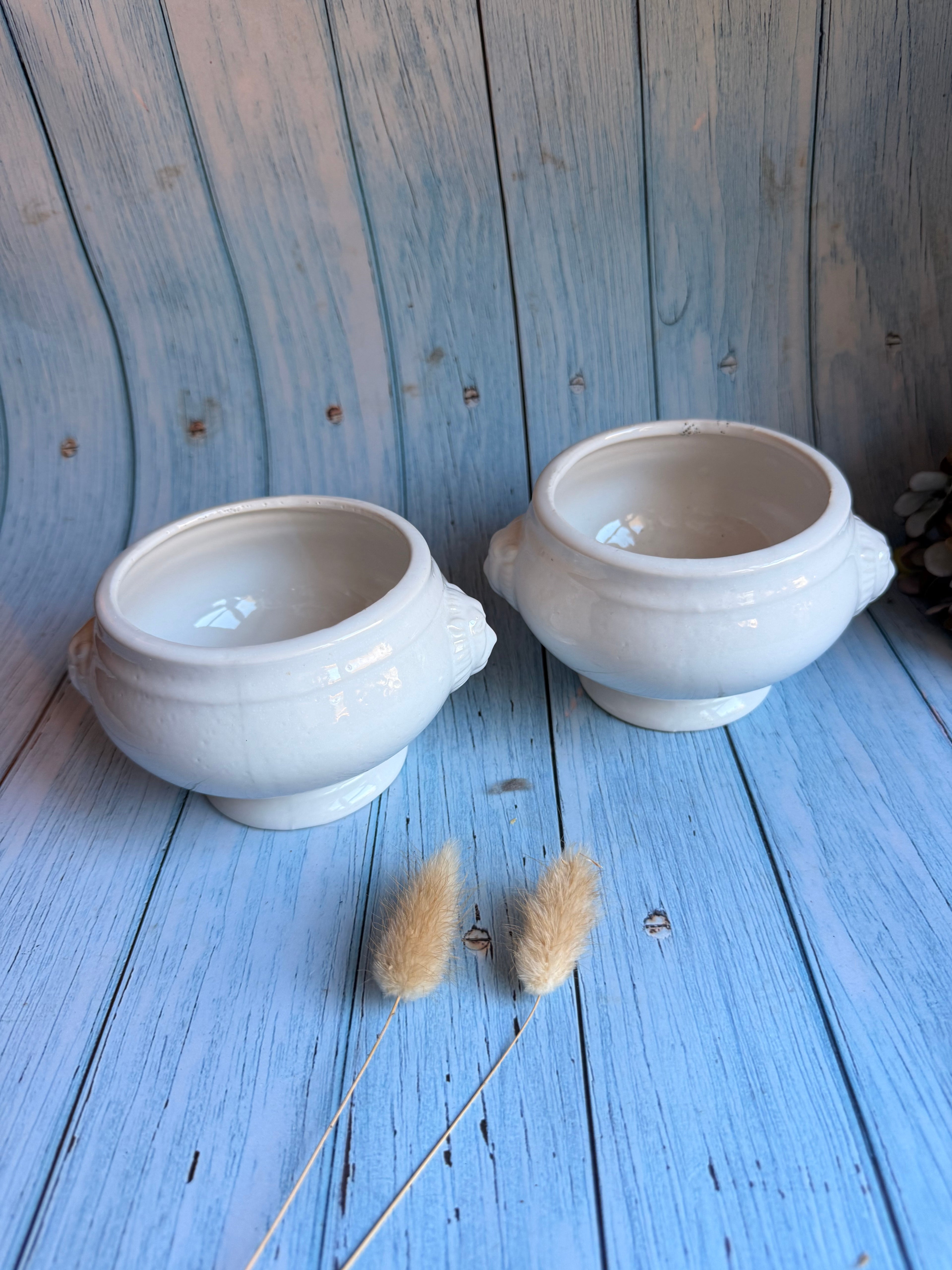 Pair of Vintage French Lion Head Soup Bowls