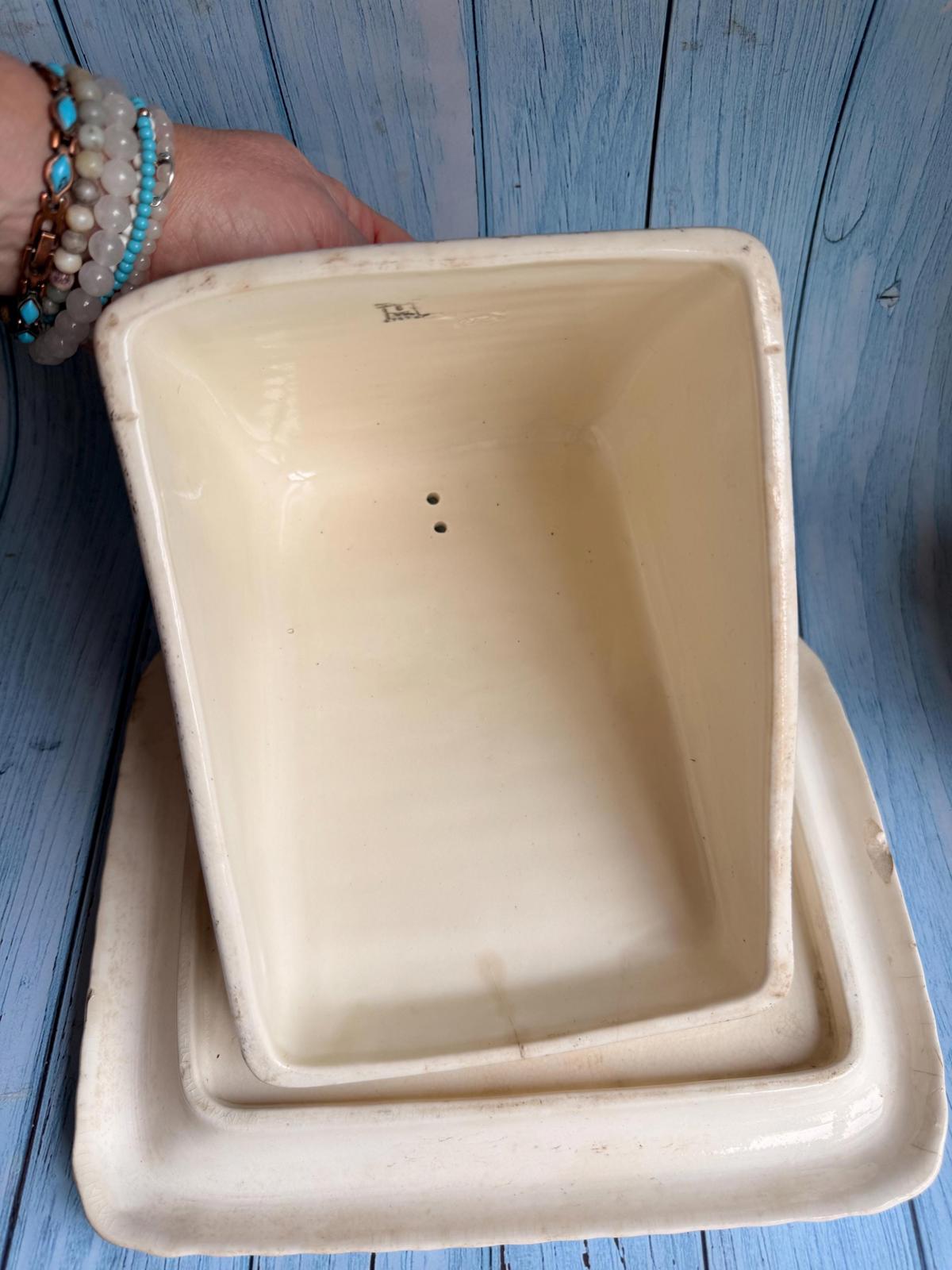 1880s Royal Bonn Franz Anton Melhem Floral Ceramic German Cheese Dome