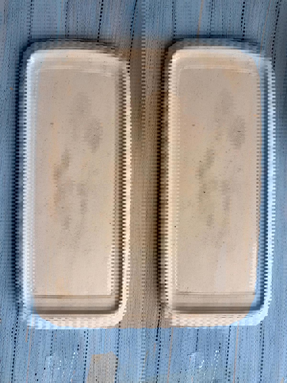 1880s Royal Bonn Franz Anton Melhem Floral Ceramic German Cheese Dome