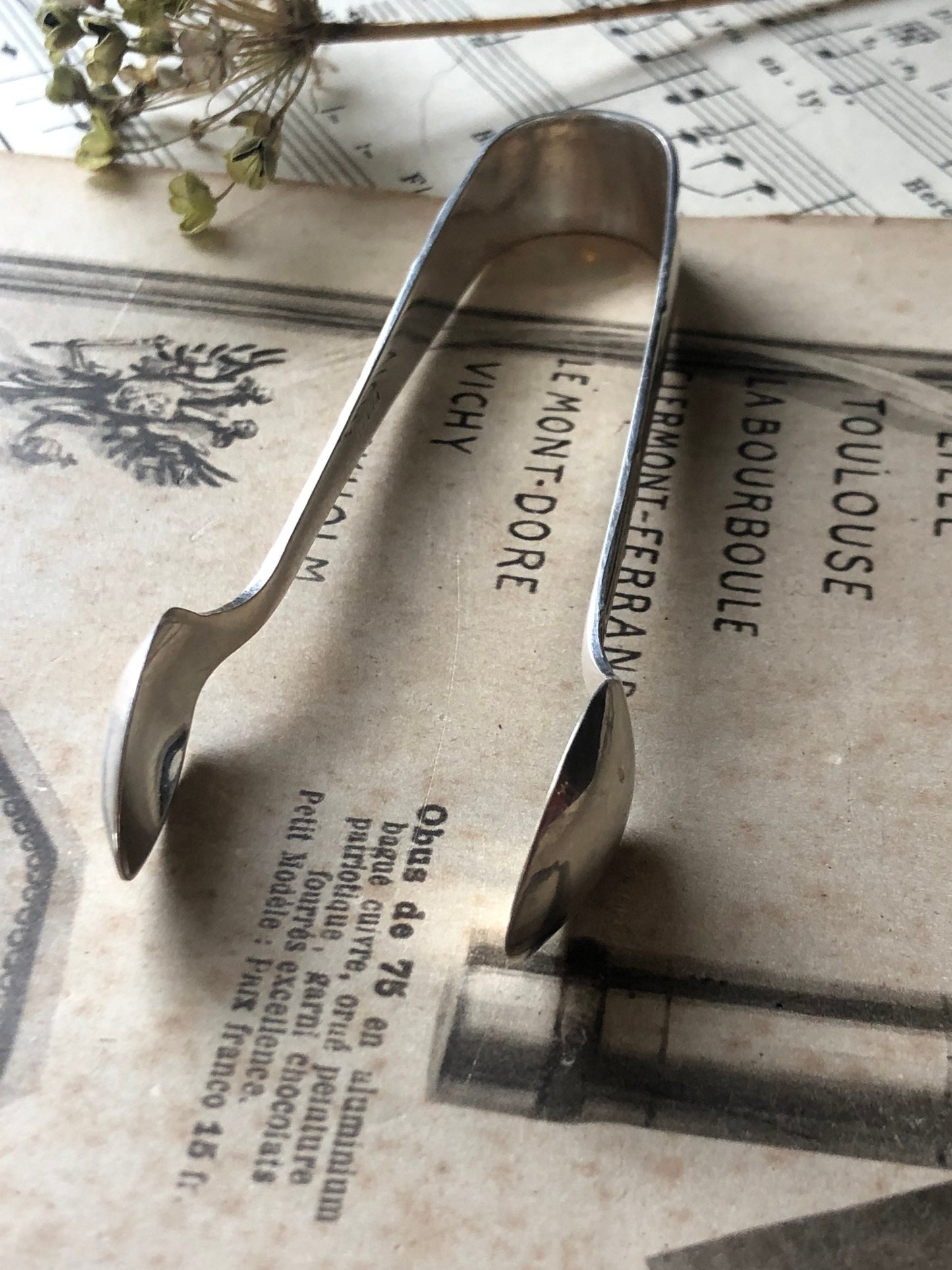 Silver Plated EPNS Vintage Sugar Tongs