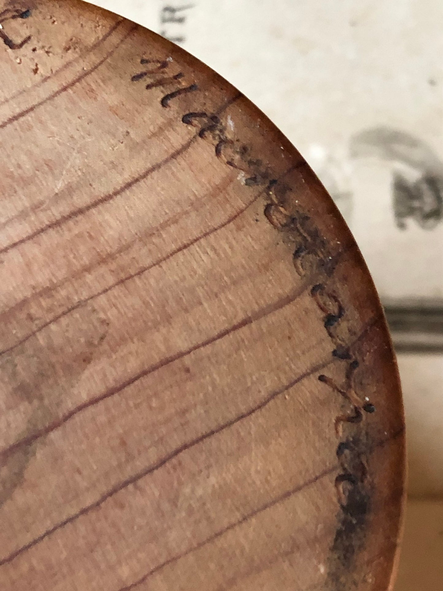 Macrocarpa Wood Lidded Pot made by H Bunt in New Zealand