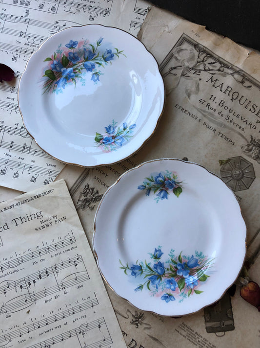 Pair of Vintage Royal Kendall Fine Bone China Cake Plates / Dessert Plate / Side Plate / Blue Flowers / Gilt Edge / Afternoon Tea