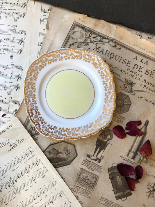 Vintage Gold Chintz and Yellow Side Plate / Decoration by Sandbach Rd Pottery, Cobridge, Staffordshire / Filigree