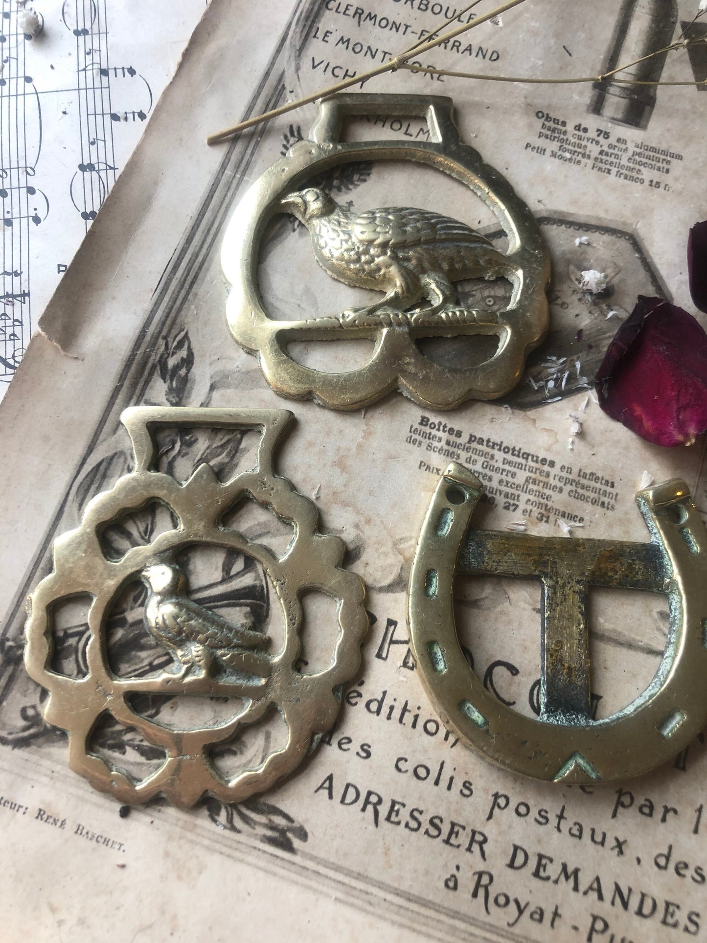 Collection of Horse Brasses / Brass Wall Art / English Traditional Horse Accessory / Harness