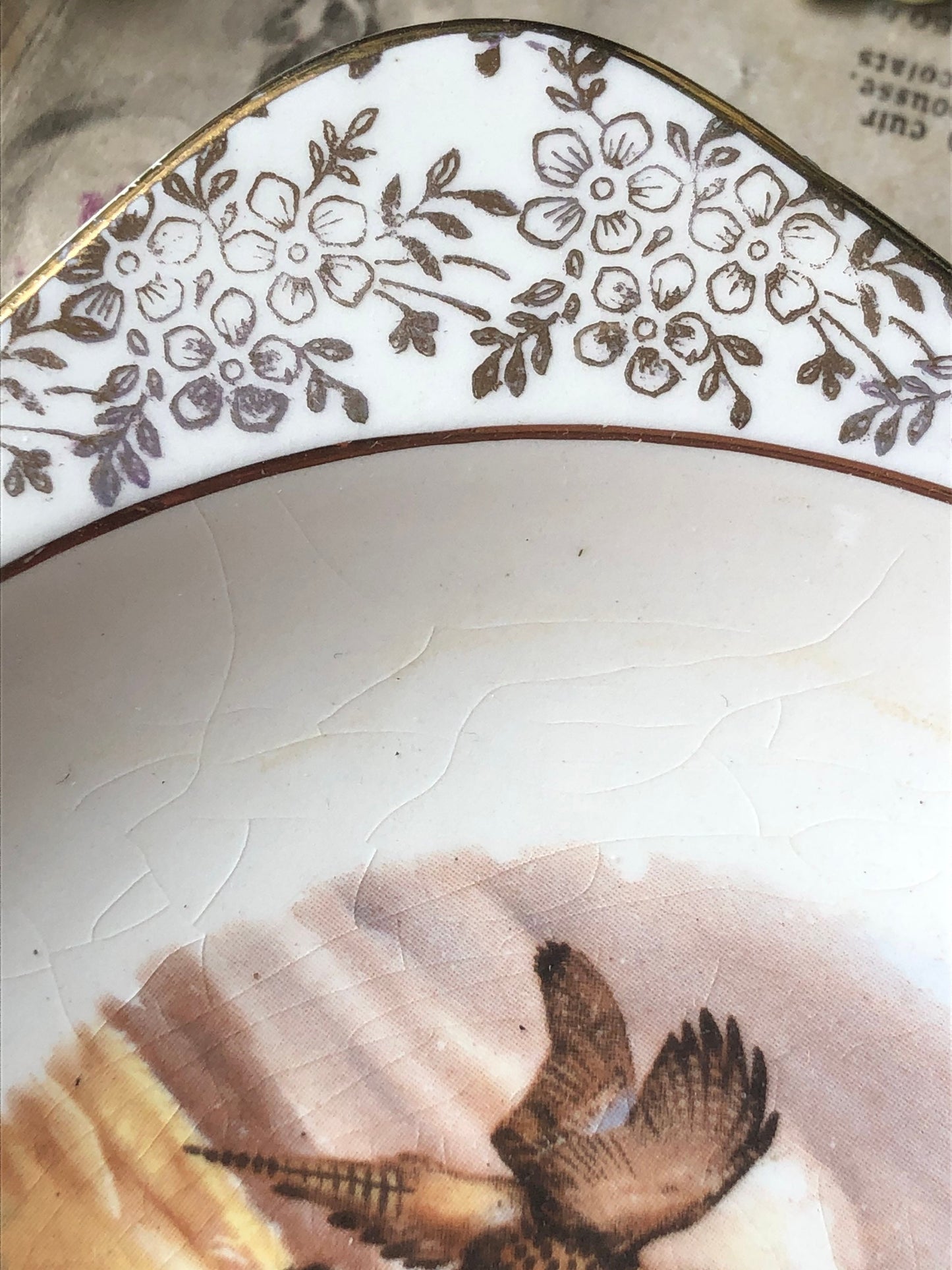 Unusual Square Vintage Game Bird Dish with Gold Chintz Edging / Made in England