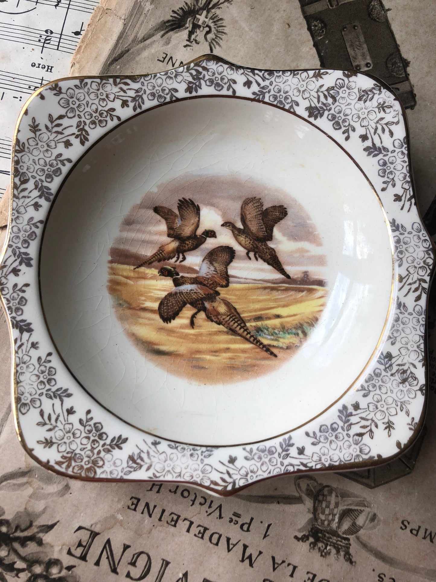 Unusual Square Vintage Game Bird Dish with Gold Chintz Edging / Made in England