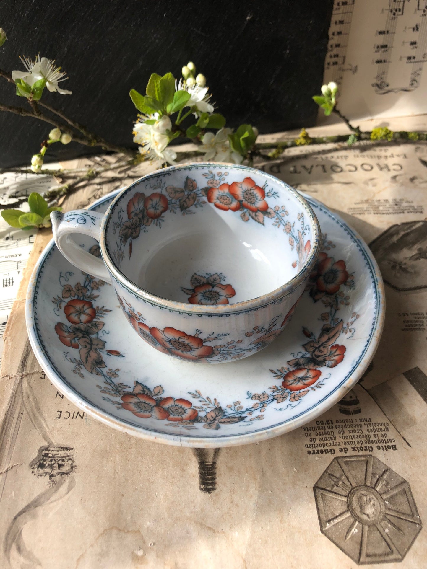 Rose Border Antique Tea Cup and Saucer