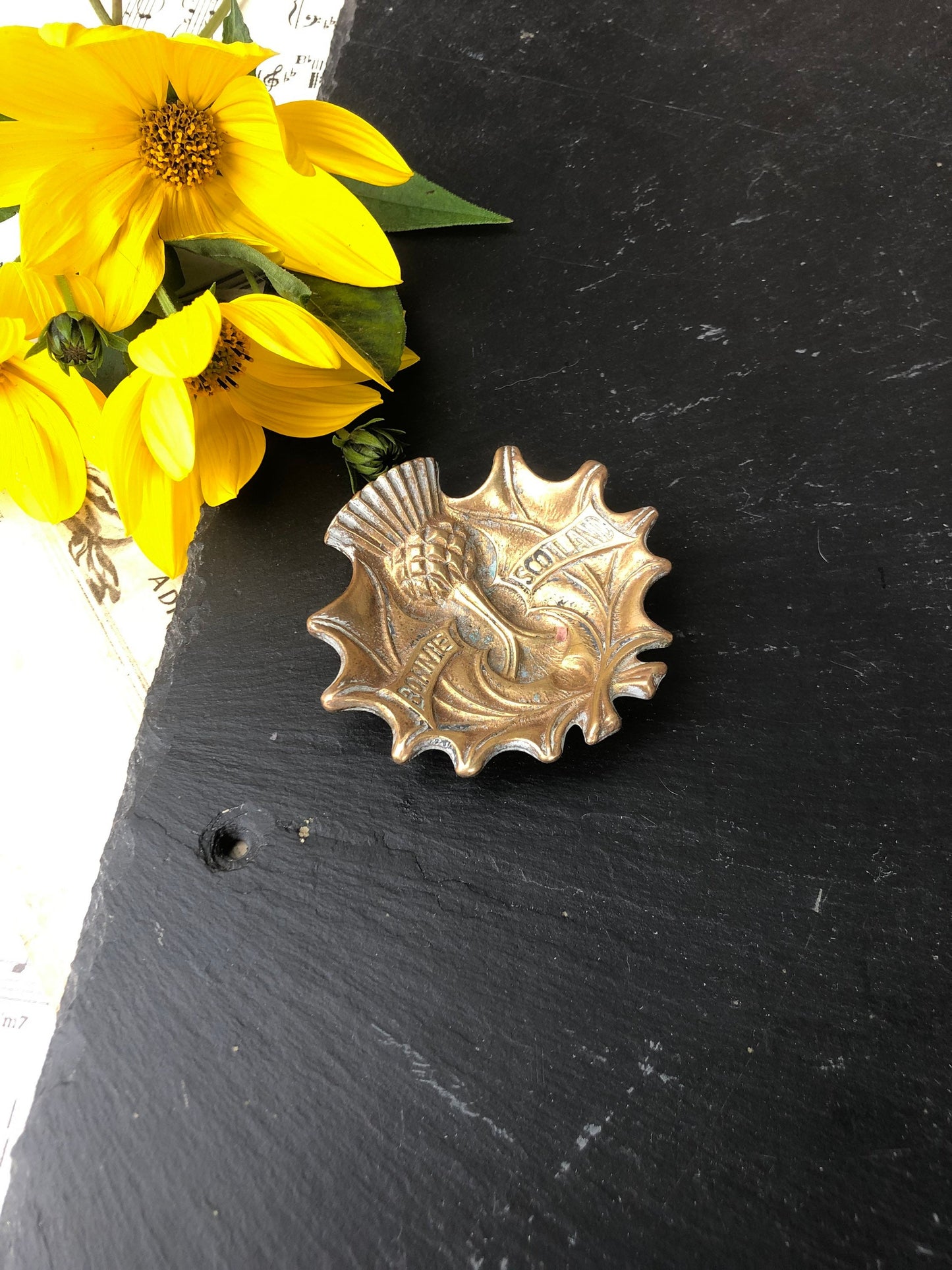 Solid Brass Bonnie Scotland Thistle Pin Dish