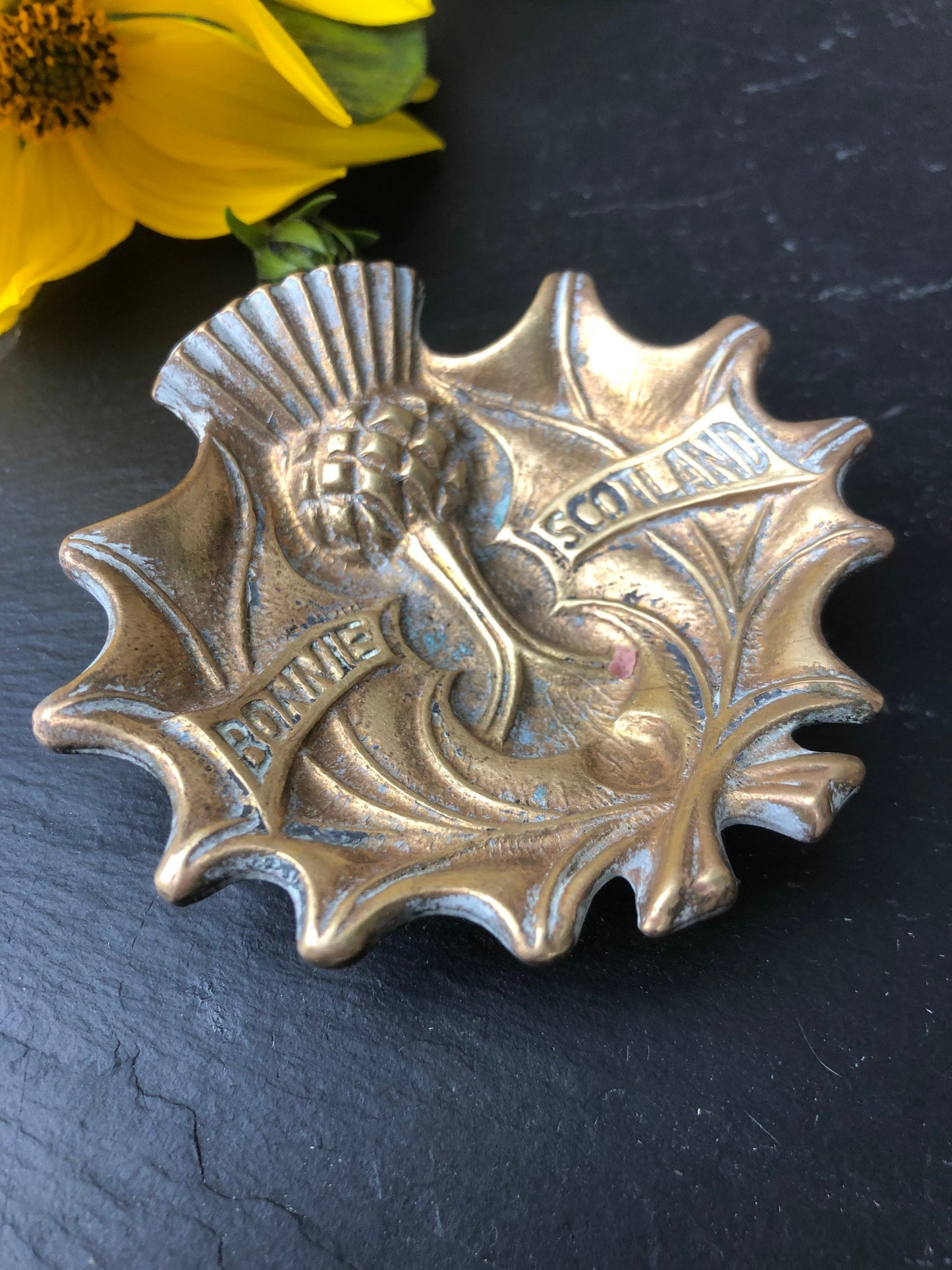 Solid Brass Bonnie Scotland Thistle Pin Dish