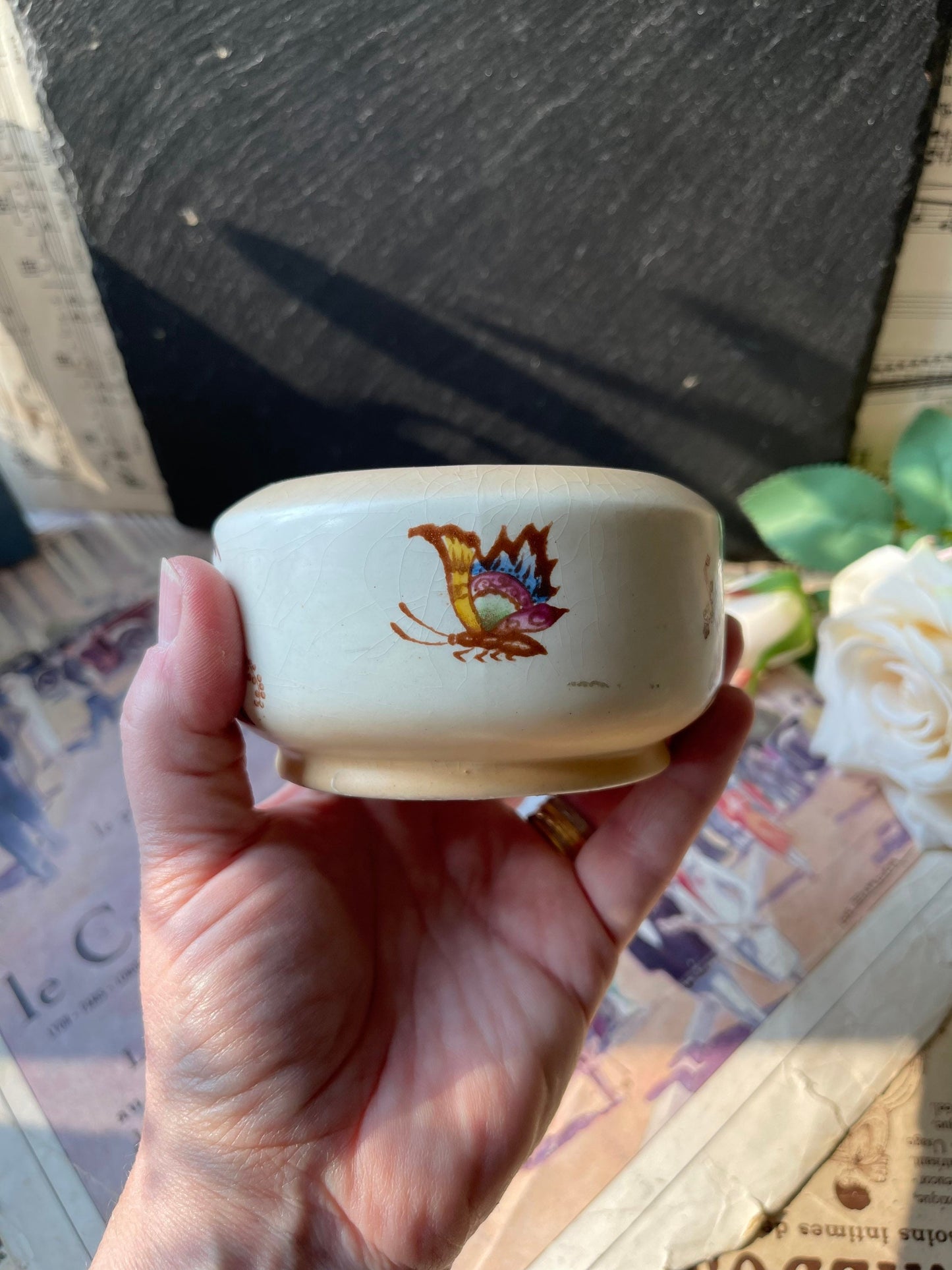 Crown Ducal Pot with Tropical Birds and Butterflies Decoration / Pattern A 175 / Art Nouveau