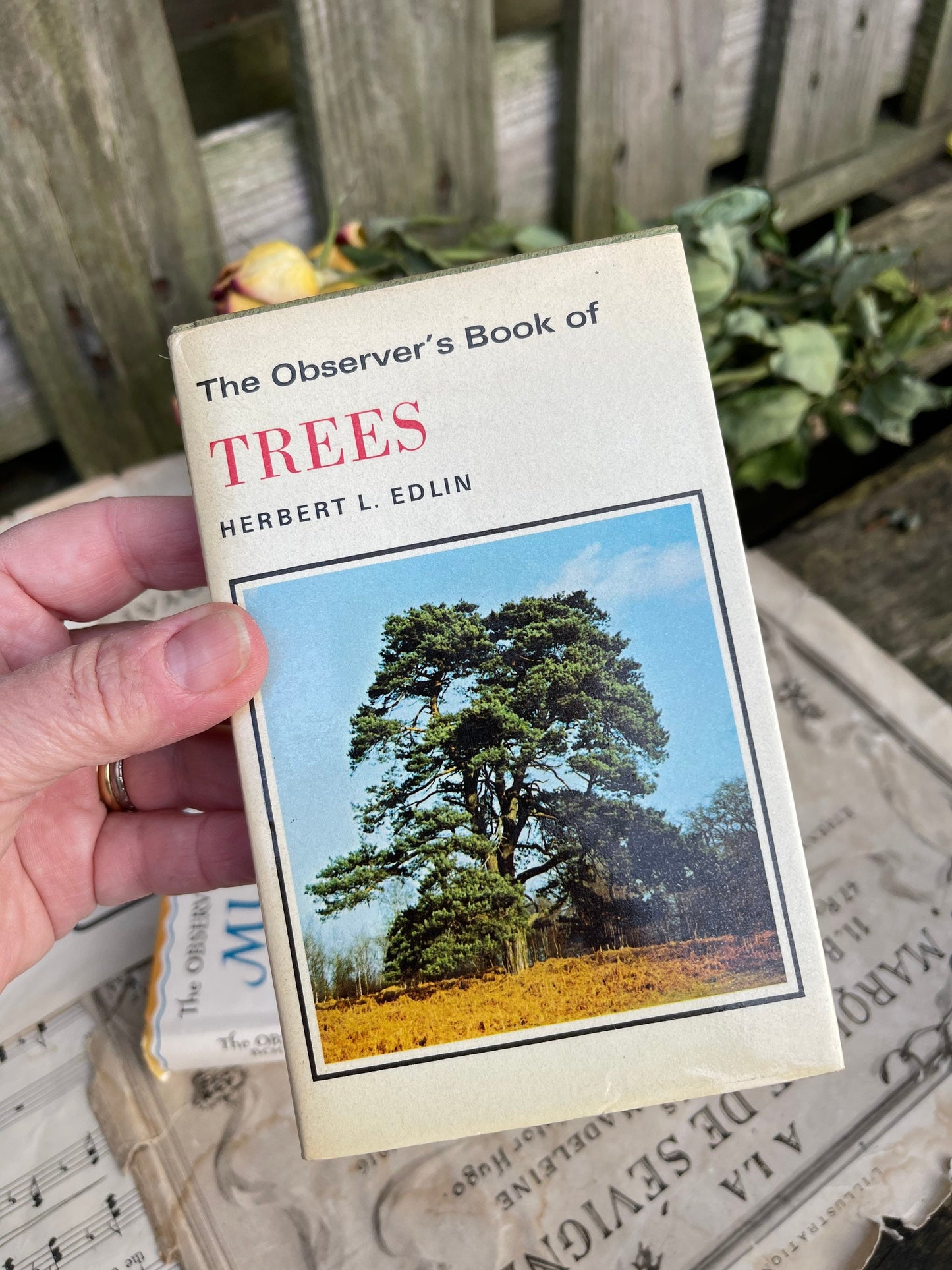 Vintage Observer Guides - Music, Trees, Freshwater Fish, Cats, Wild Flowers
