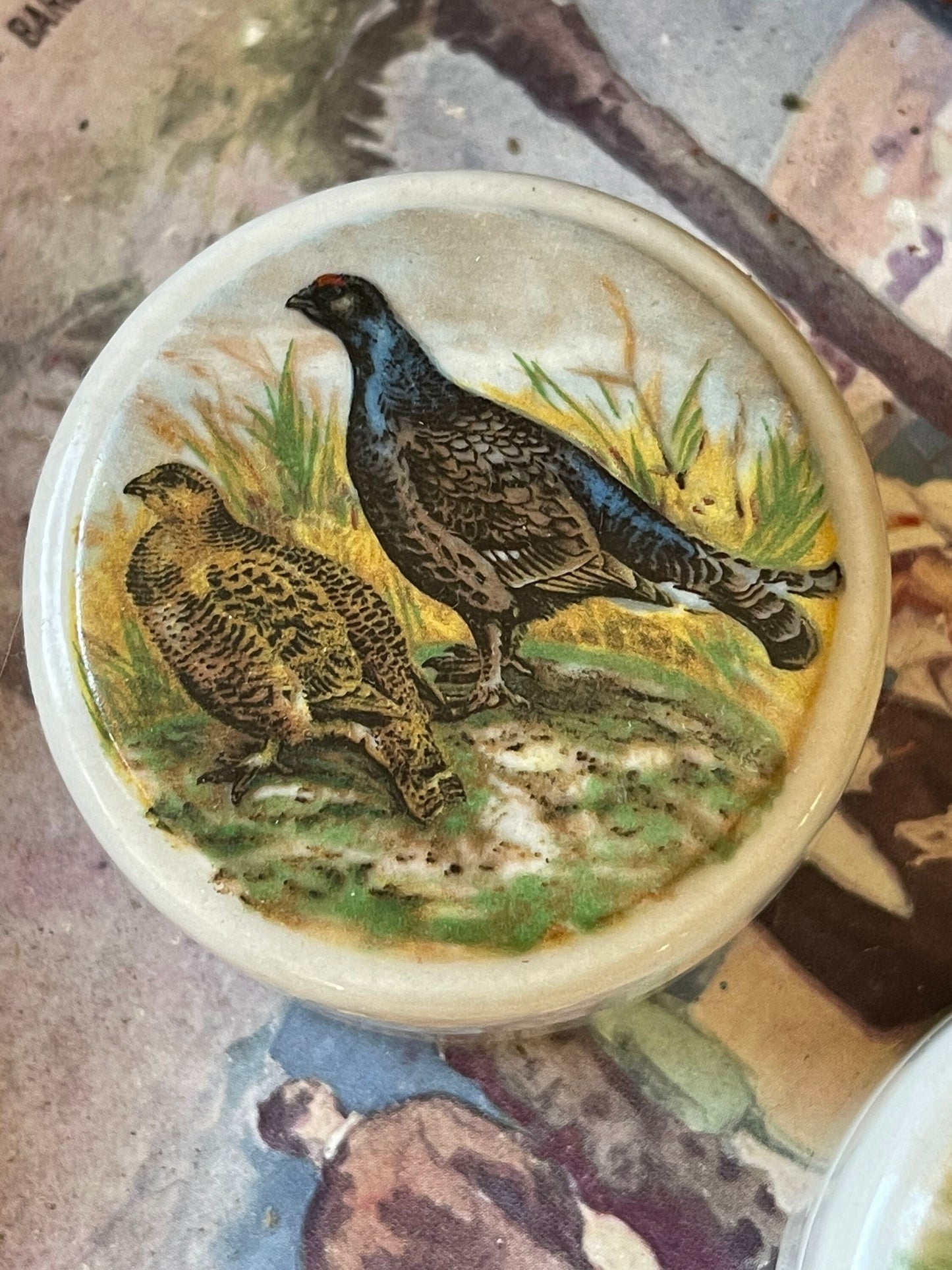 Vintage Ceramic Patum Peperium Pots with Lid / English White Ironstone / Game Birds Range / Collectible / Elsenham Gentleman's Relish