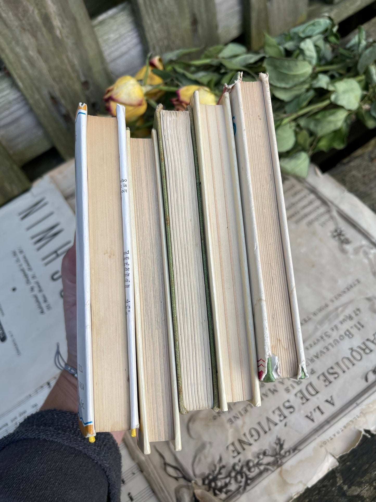 Vintage Observer Guides - Music, Trees, Freshwater Fish, Cats, Wild Flowers