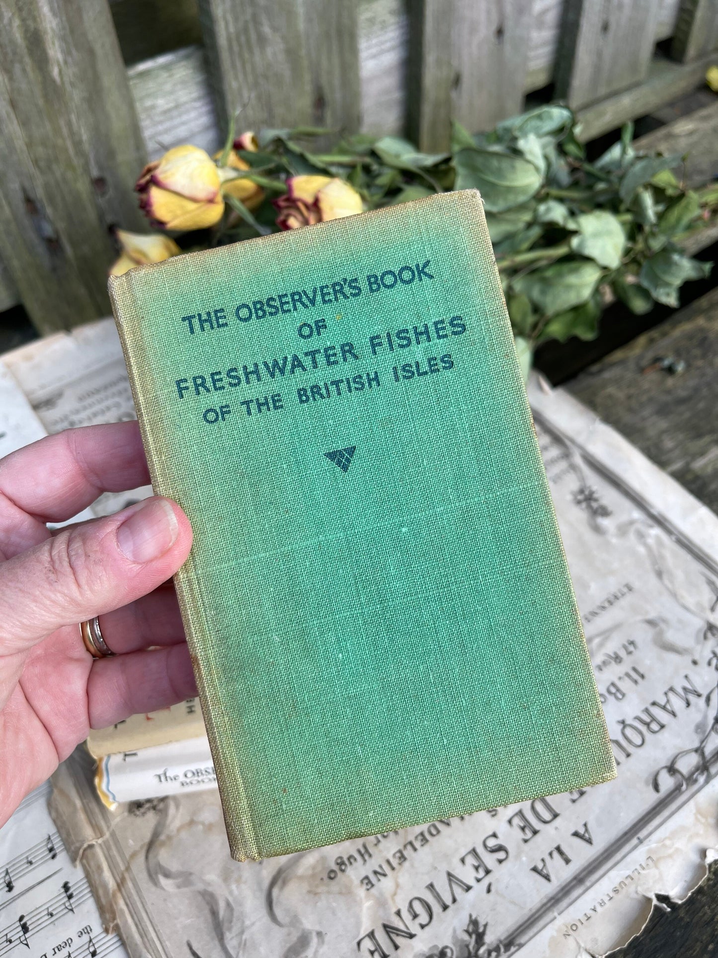 Vintage Observer Guides - Music, Trees, Freshwater Fish, Cats, Wild Flowers