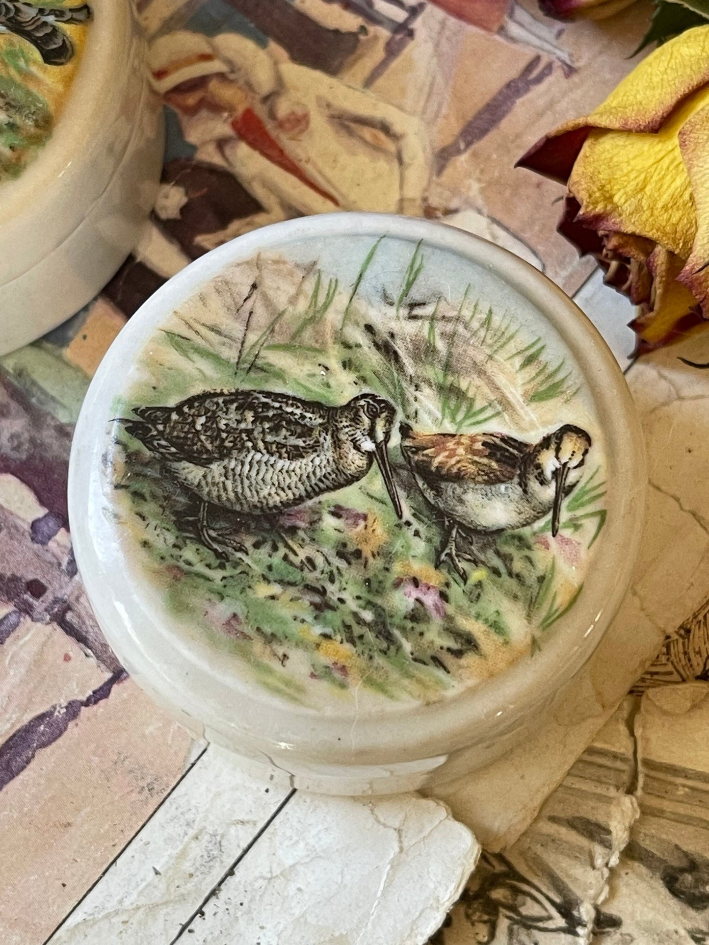 Vintage Ceramic Patum Peperium Pots with Lid / English White Ironstone / Game Birds Range / Collectible / Elsenham Gentleman's Relish