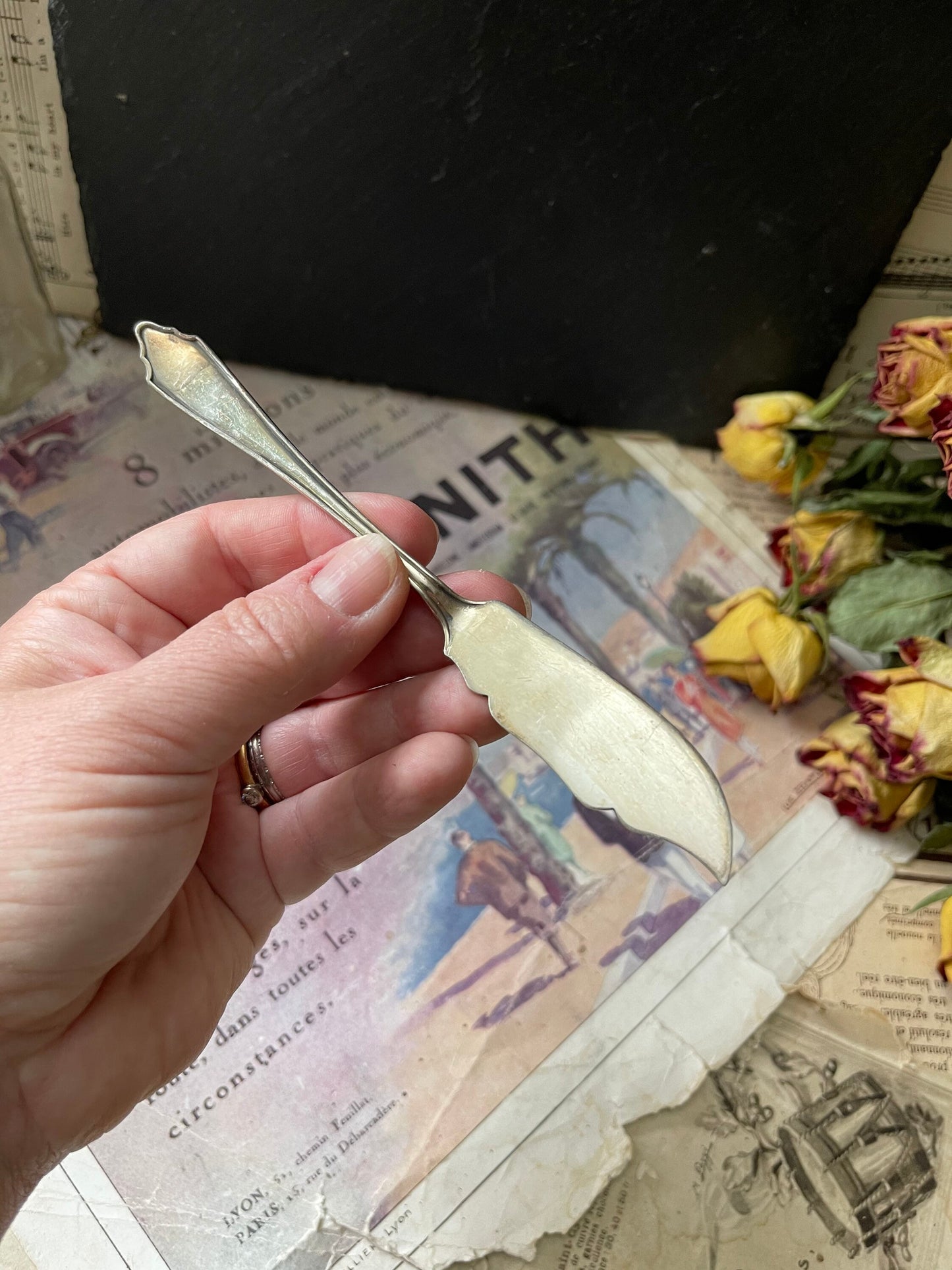 Antique EPNS Silver Plated Butter Knife by Frank Cobb & Co, Sheffield A1 dating to 1910