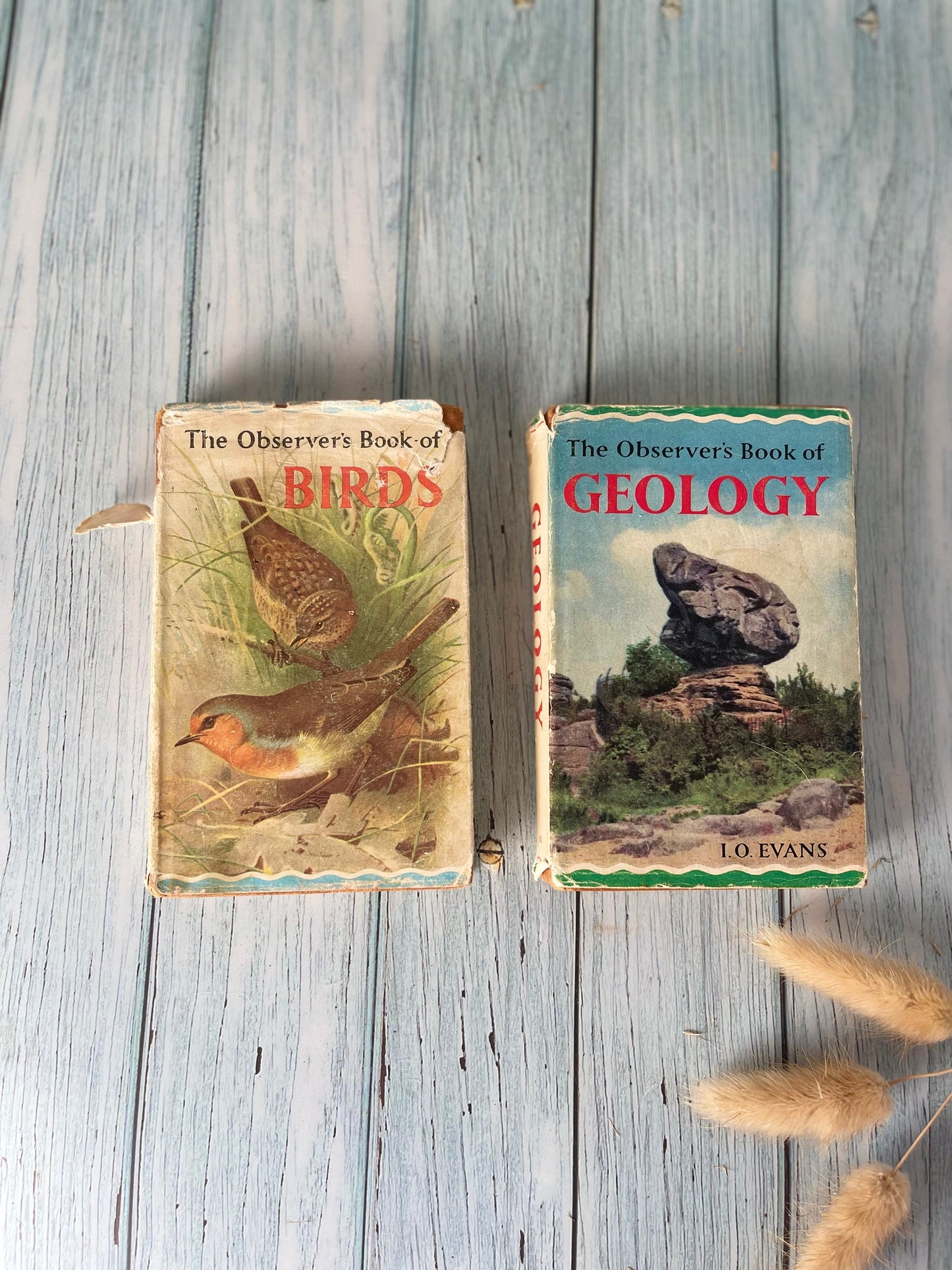 Vintage 1960's Observer's Books - Birds by S. Vere Benson and Geology by I O Evans