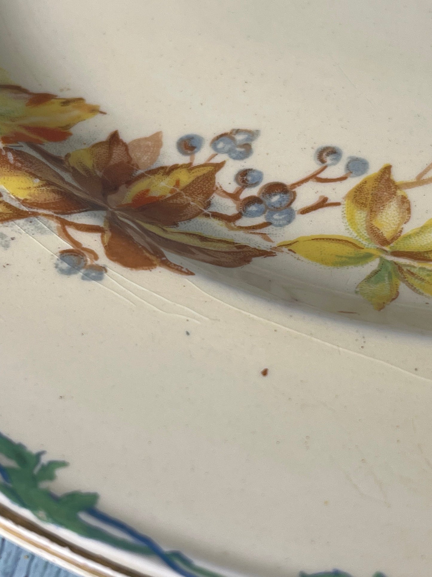 Royal Winton Grimwades Made in England Collectible Autumn Leaves and Berries Plate with Edge Gilding