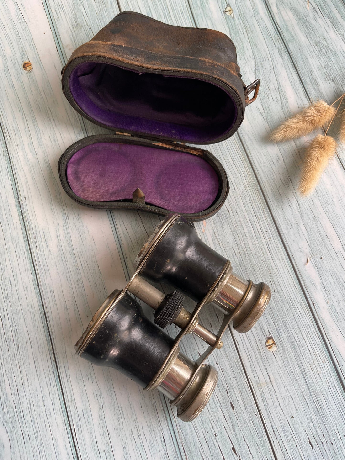 Antique Racing, Opera or Theatre Glasses in Original Leather Case