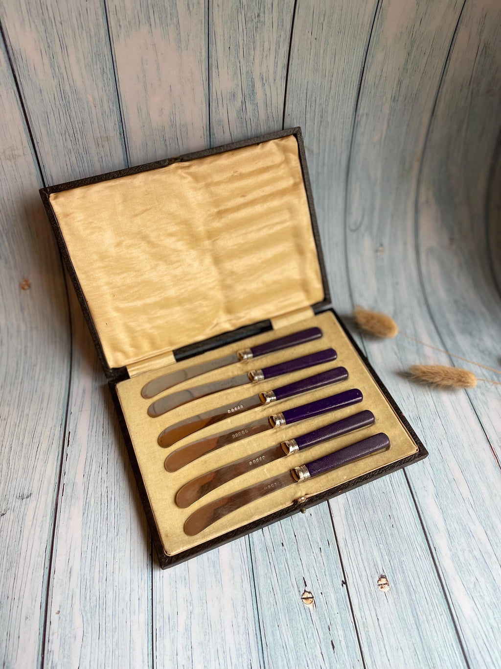 Boxed Set of Six Butter Knives with Purple Celluloid Handles in Velvet and Satin Lined Box