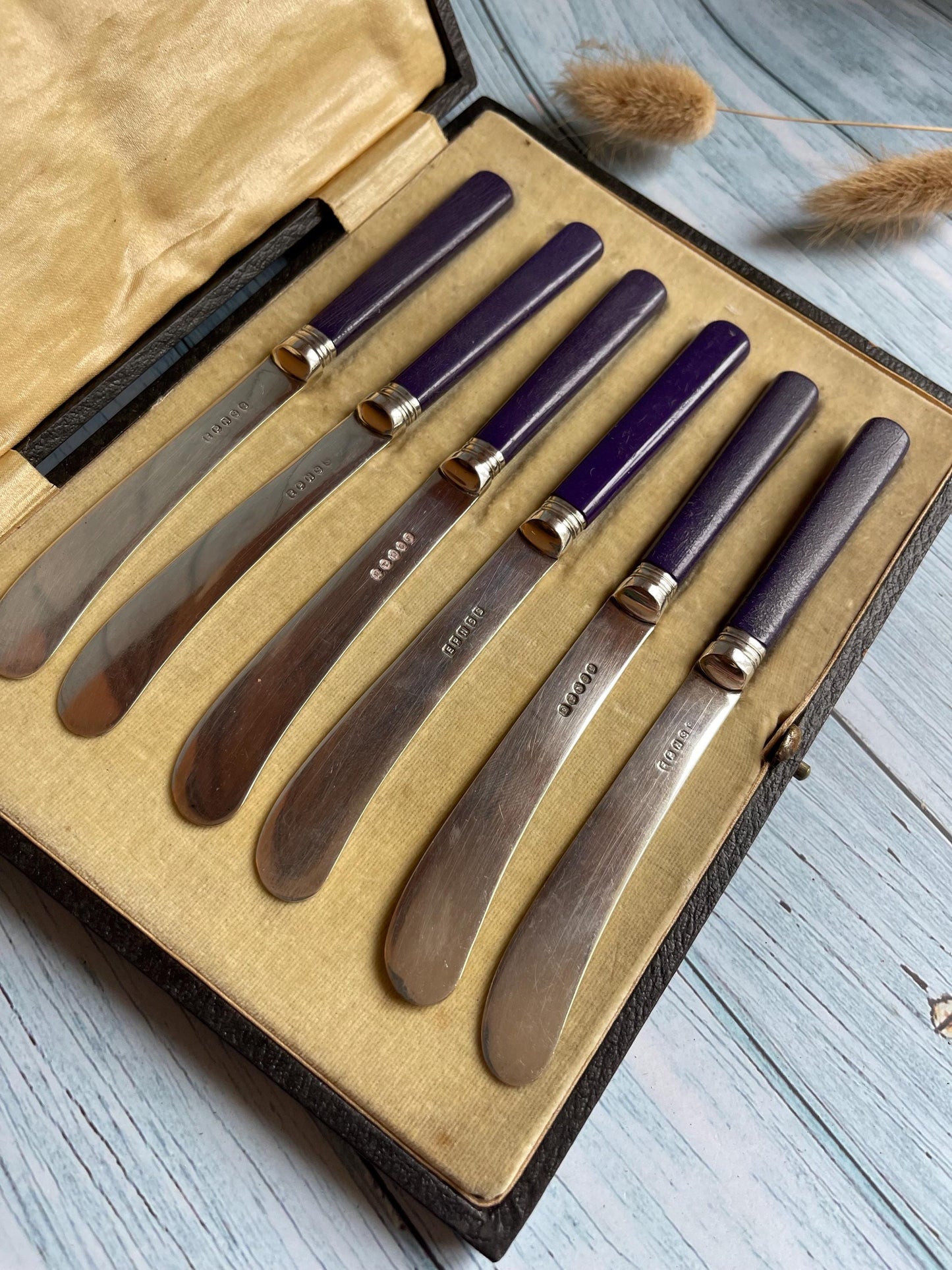 Vintage Silver Plated Butter Knives Set: Purple Celluloid Handles, Velvet Box