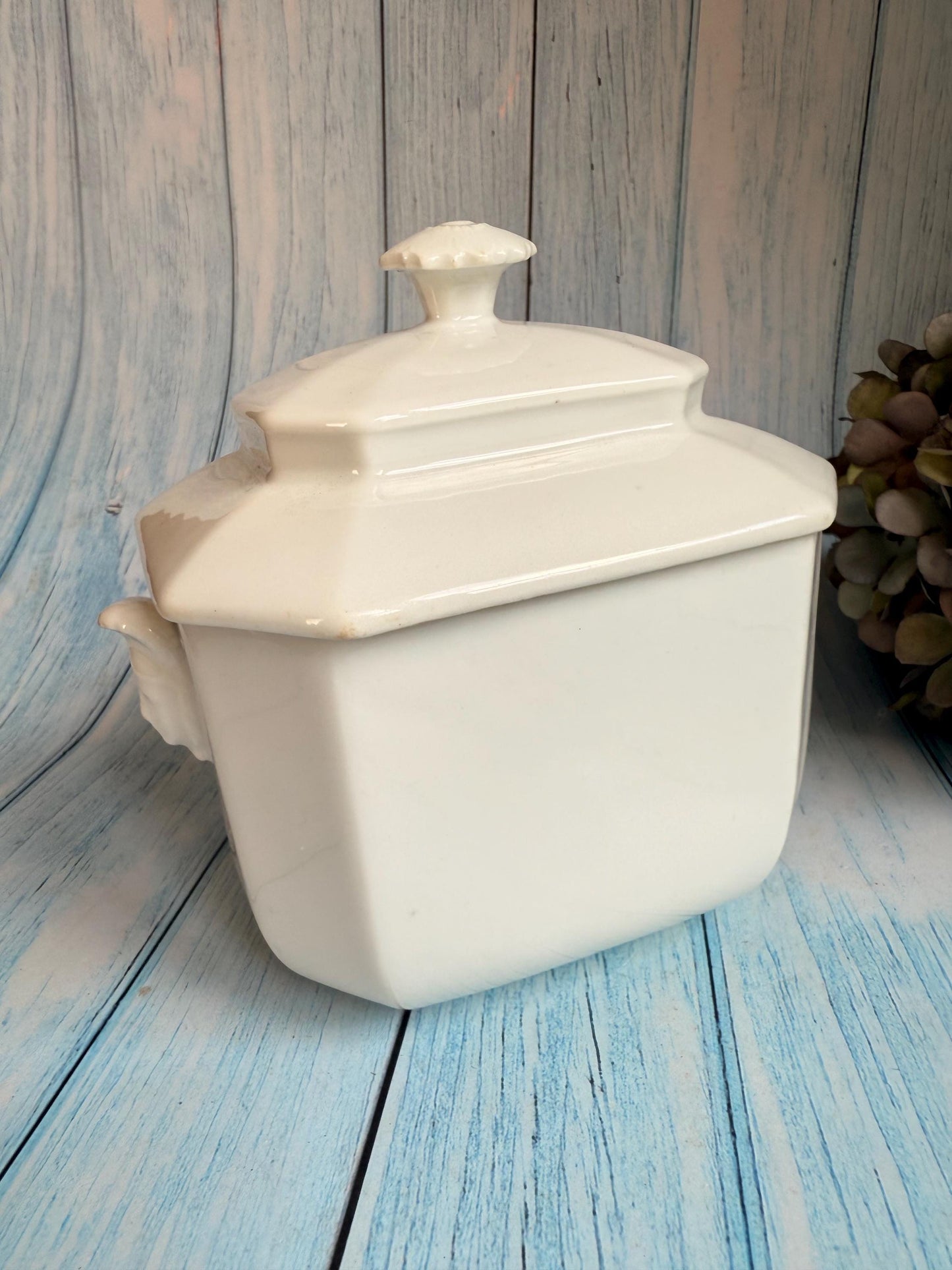 Antique French Cameo Heads Porcelain Sugar Pot