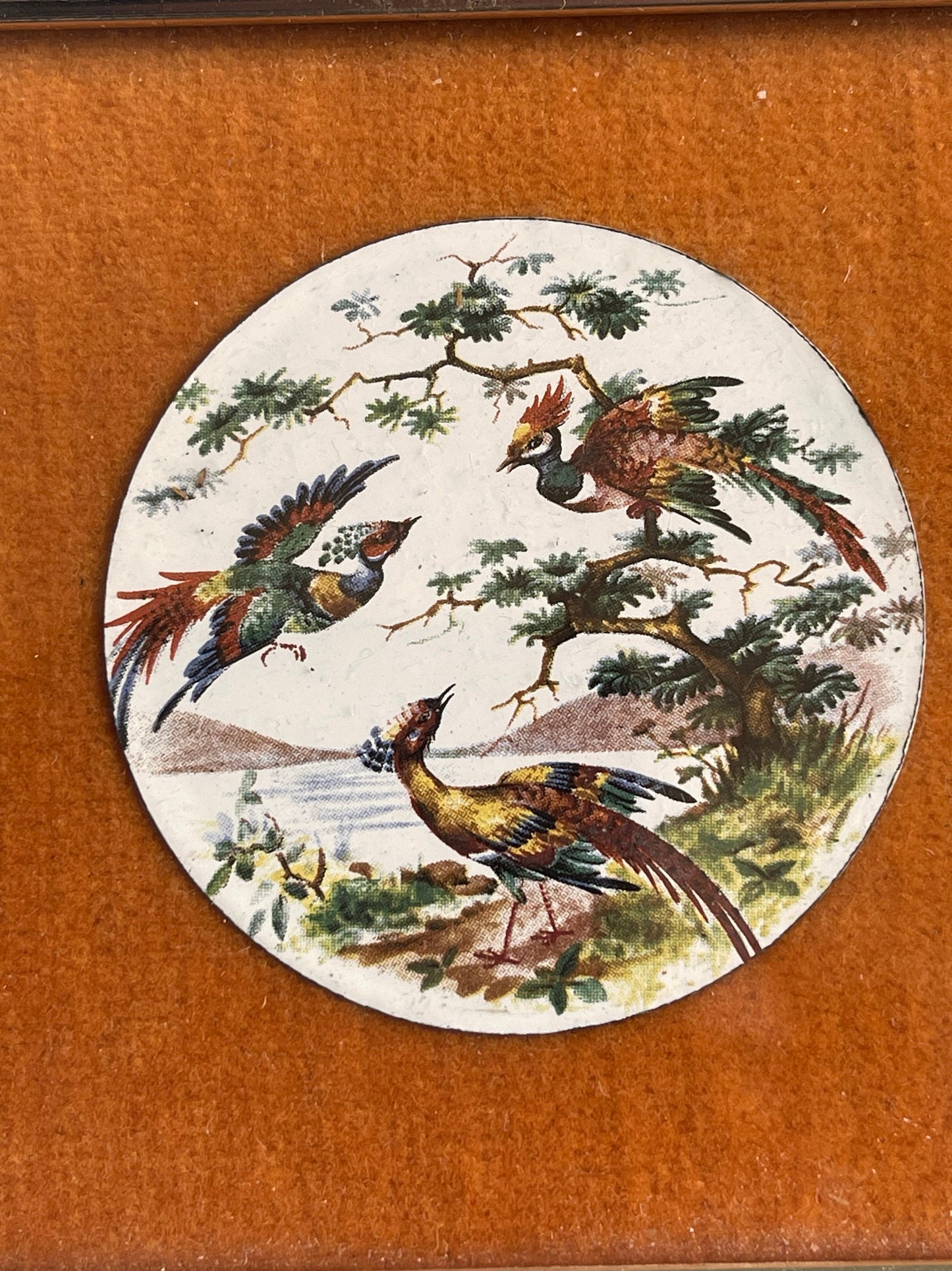 Pair of pretty vintage, enamel on copper plaques displaying exotic birds by Withers